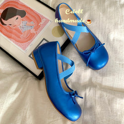 Blue Fairy Ballet Shoes