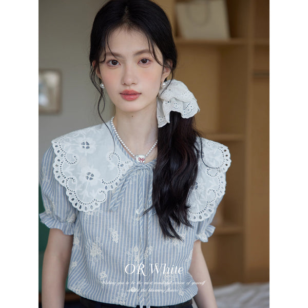 Floral Embroidered Lace Blouse