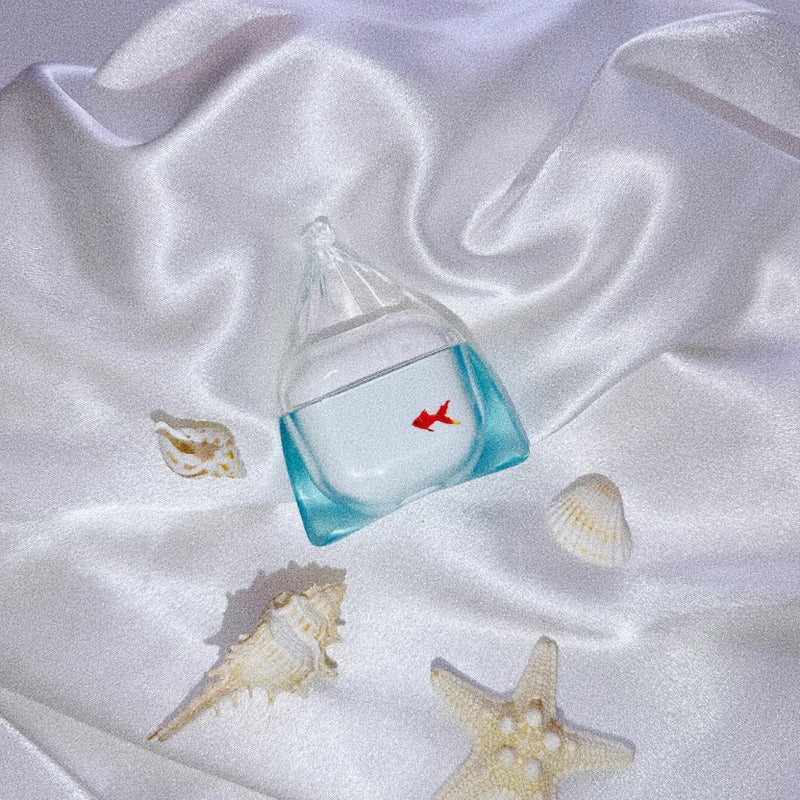 Gold Fish AirPods Case