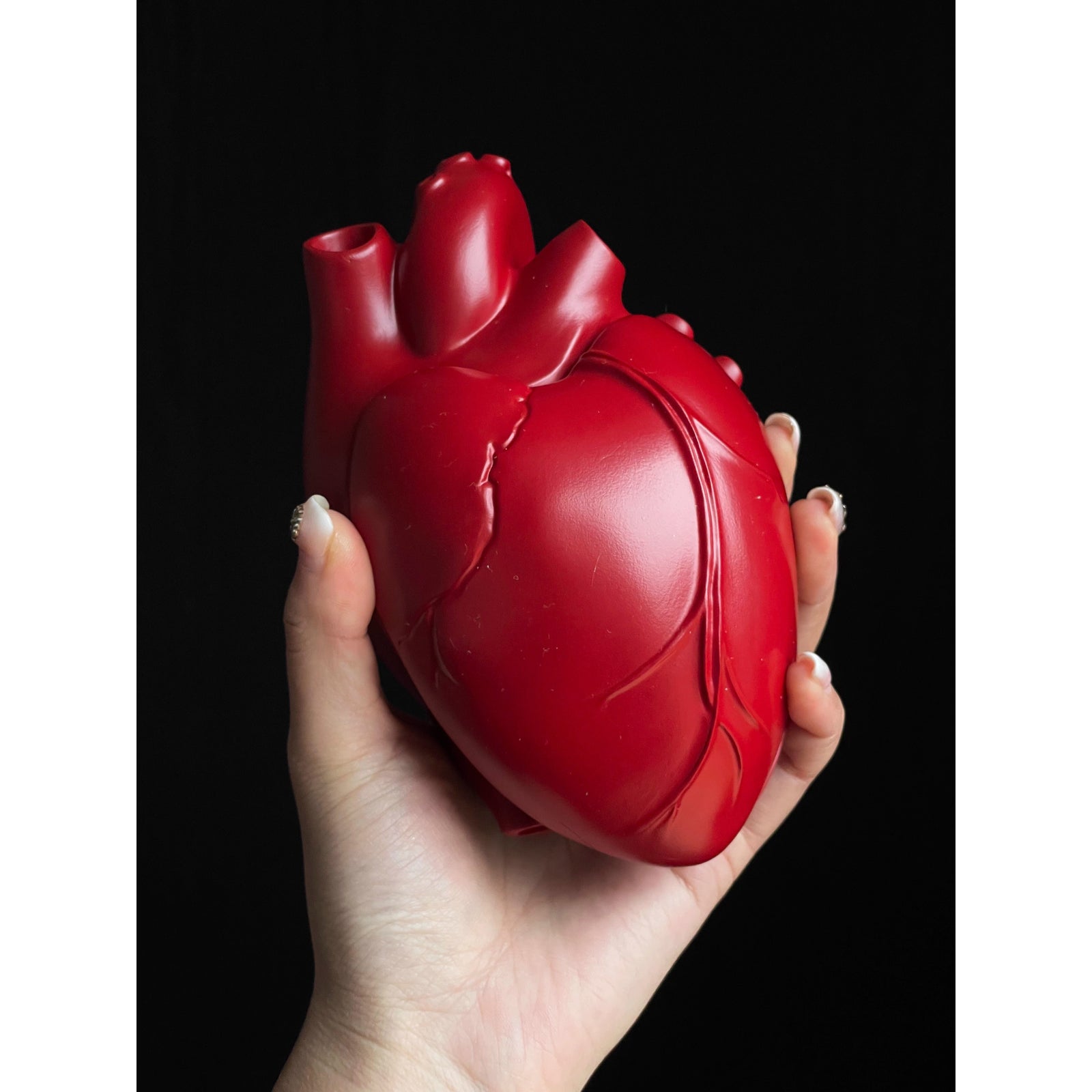 心臓アクセサリーケース - Red – ManusMachina