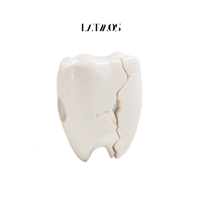 Cracked Teeth AirPods Case