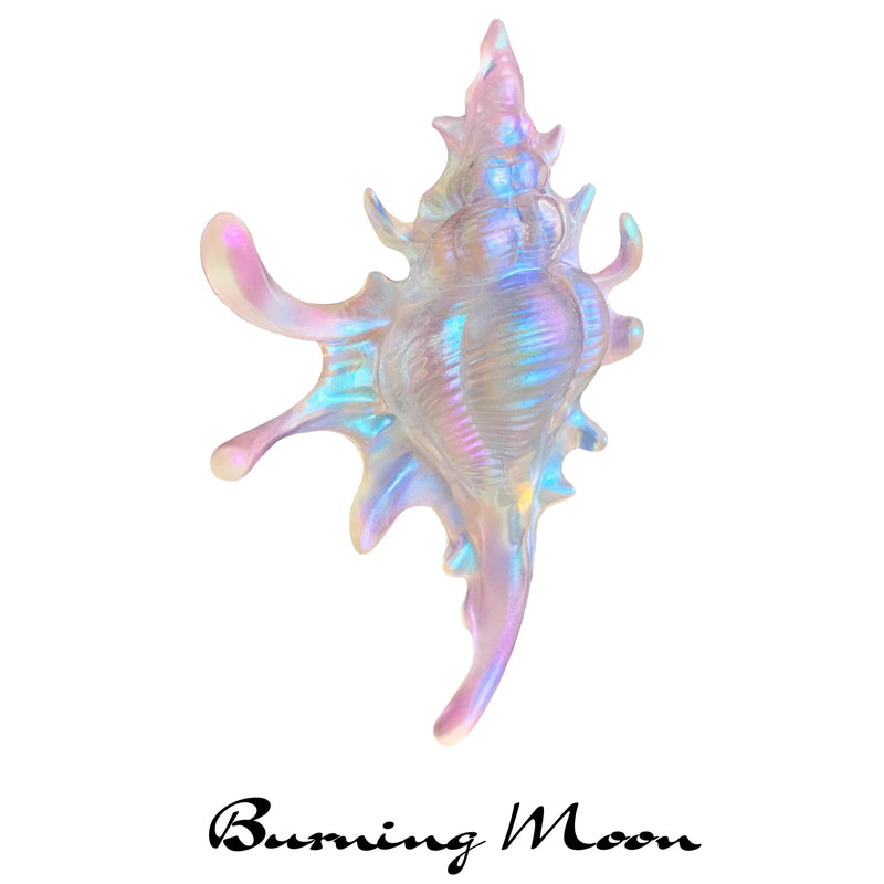 貝殻のヘアクリップ