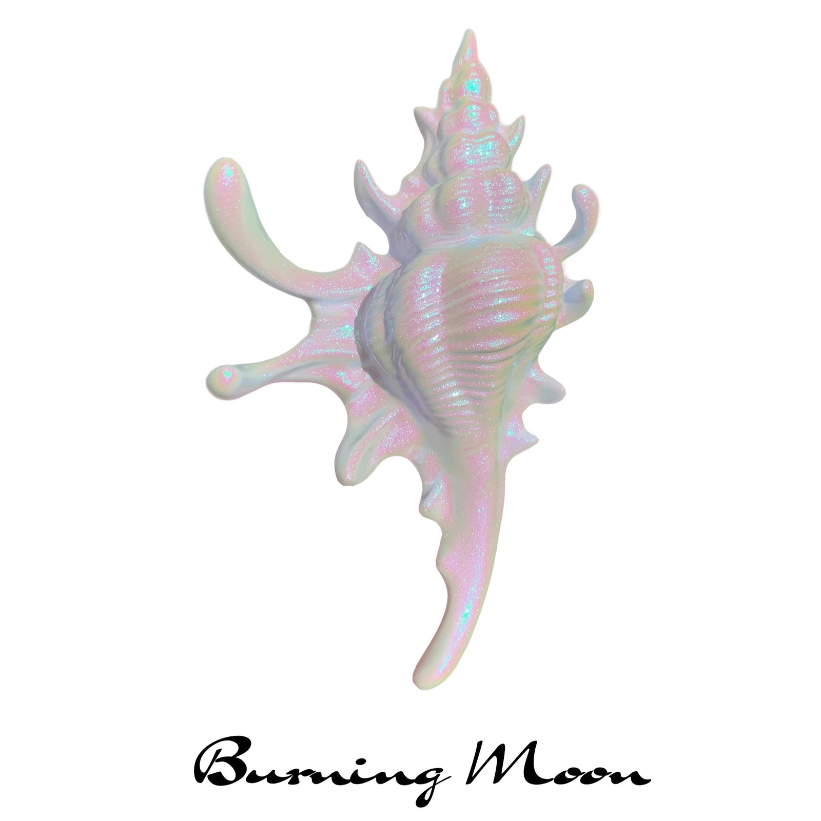Seashell Hair Clip – ManusMachina