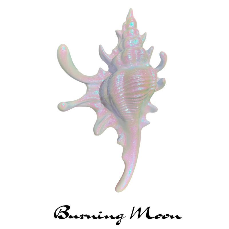 貝殻のヘアクリップ