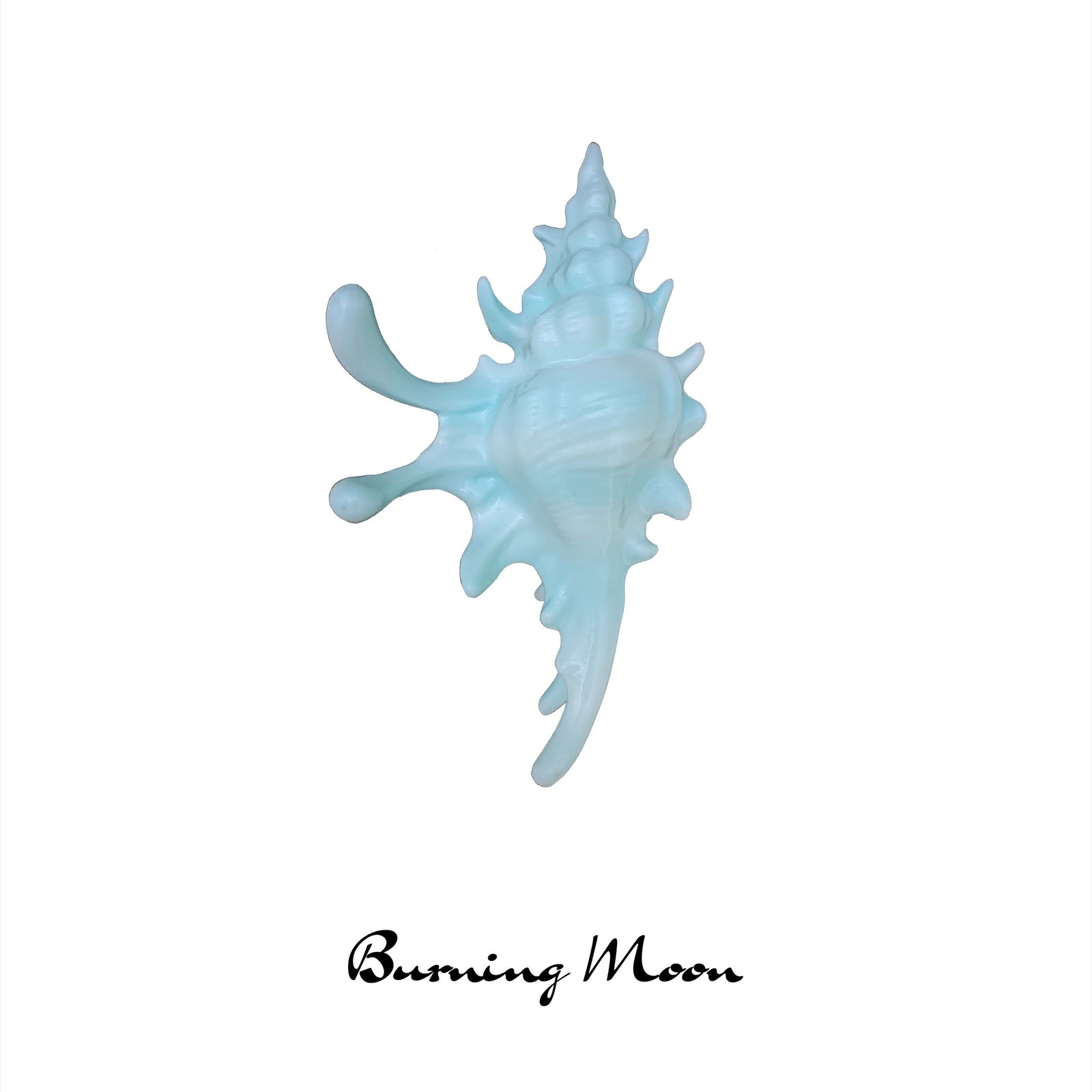 貝殻のヘアクリップ – ManusMachina