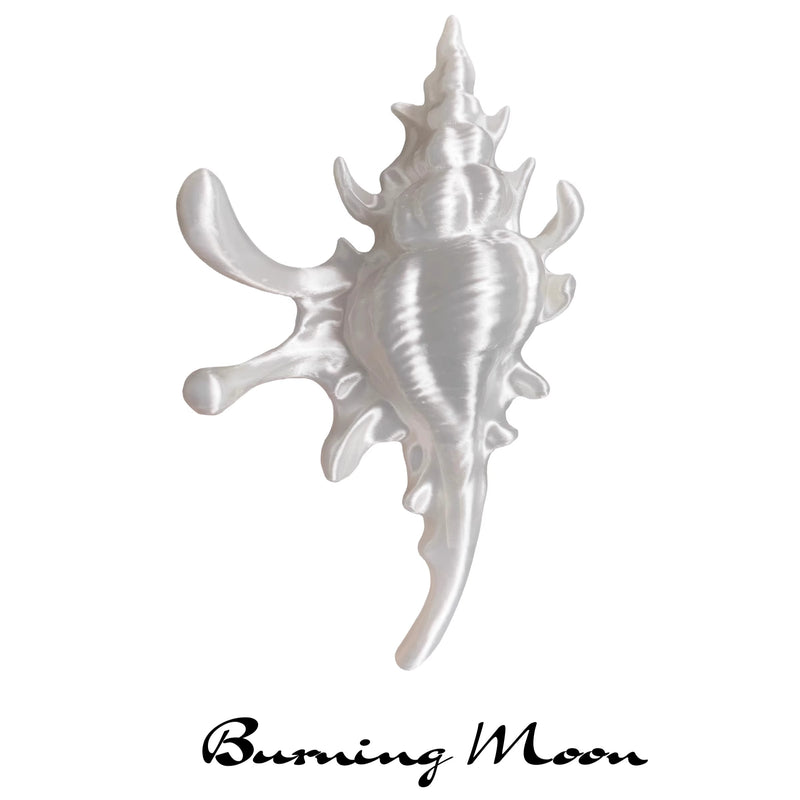 貝殻のヘアクリップ