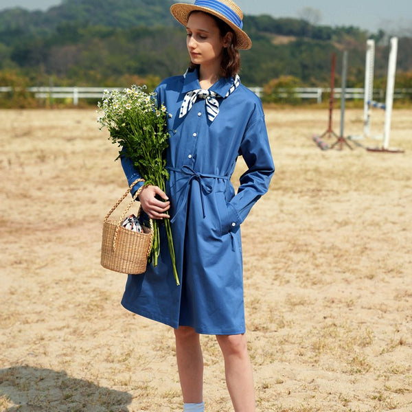 Deep blue sky blue coat dress