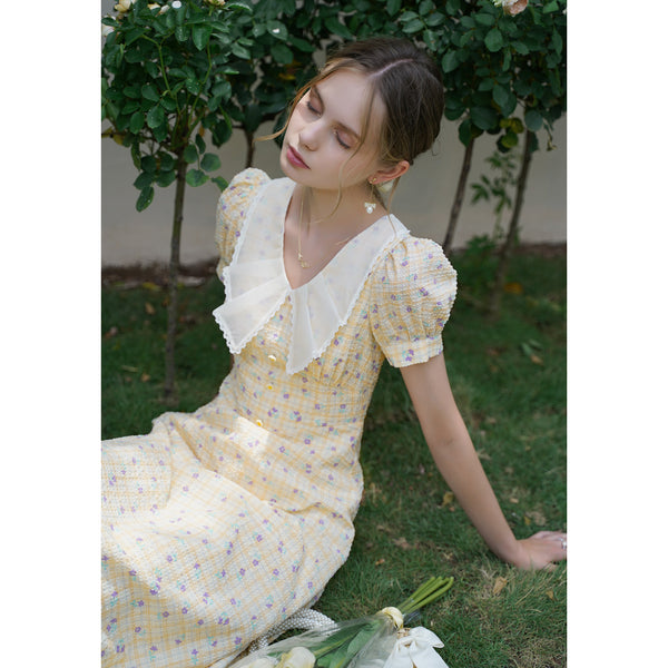 Floral French dress with twinkling stars in the sky 