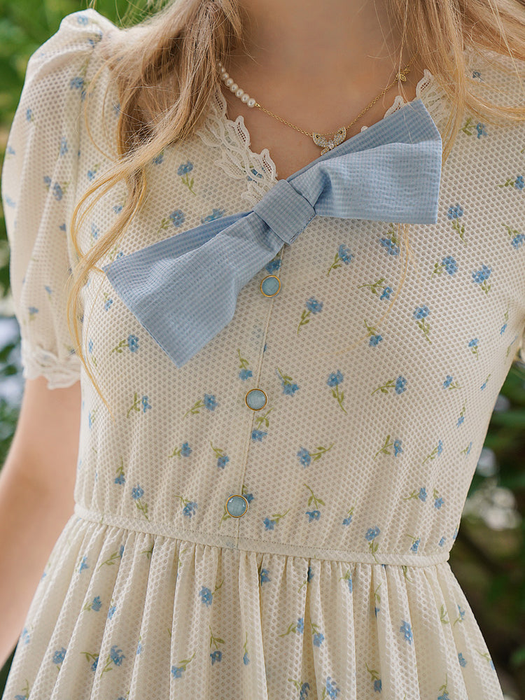 Forget-me-not floral ribbon French dress 