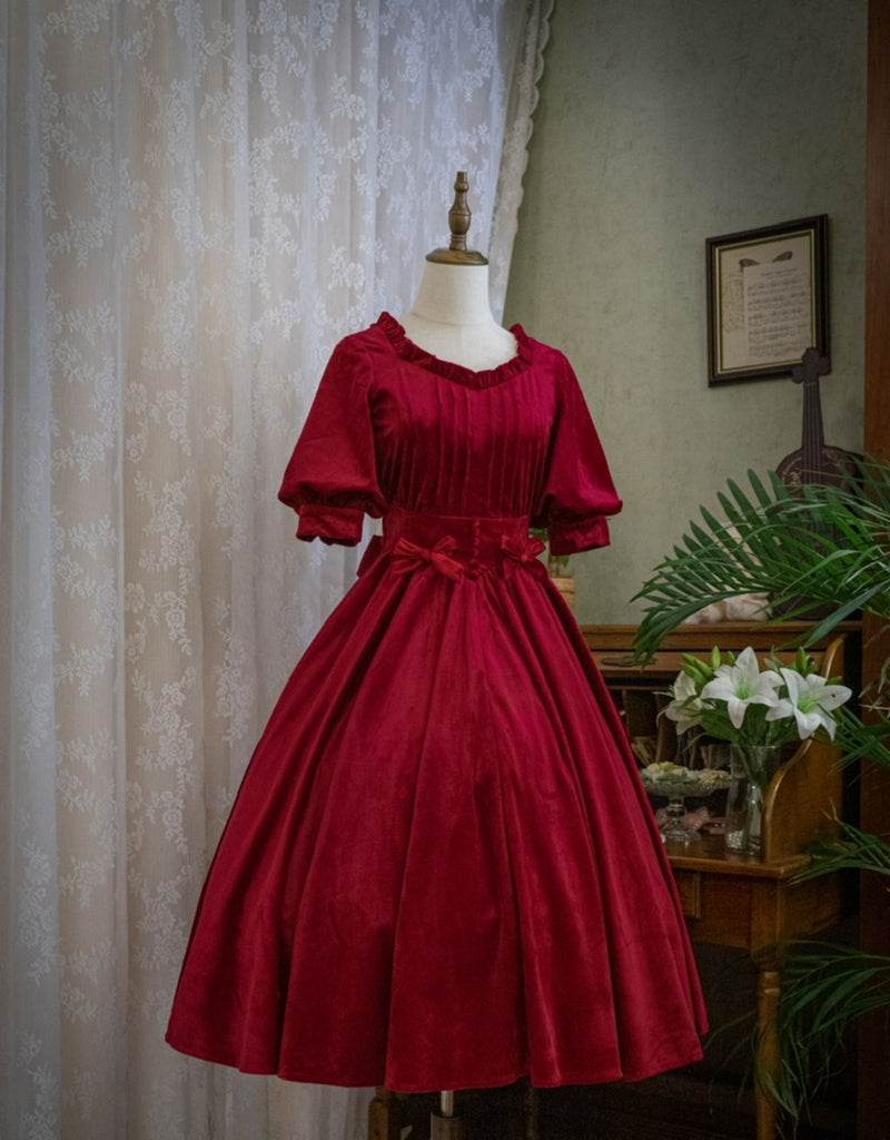 Velvet dress for royal and aristocratic ladies 