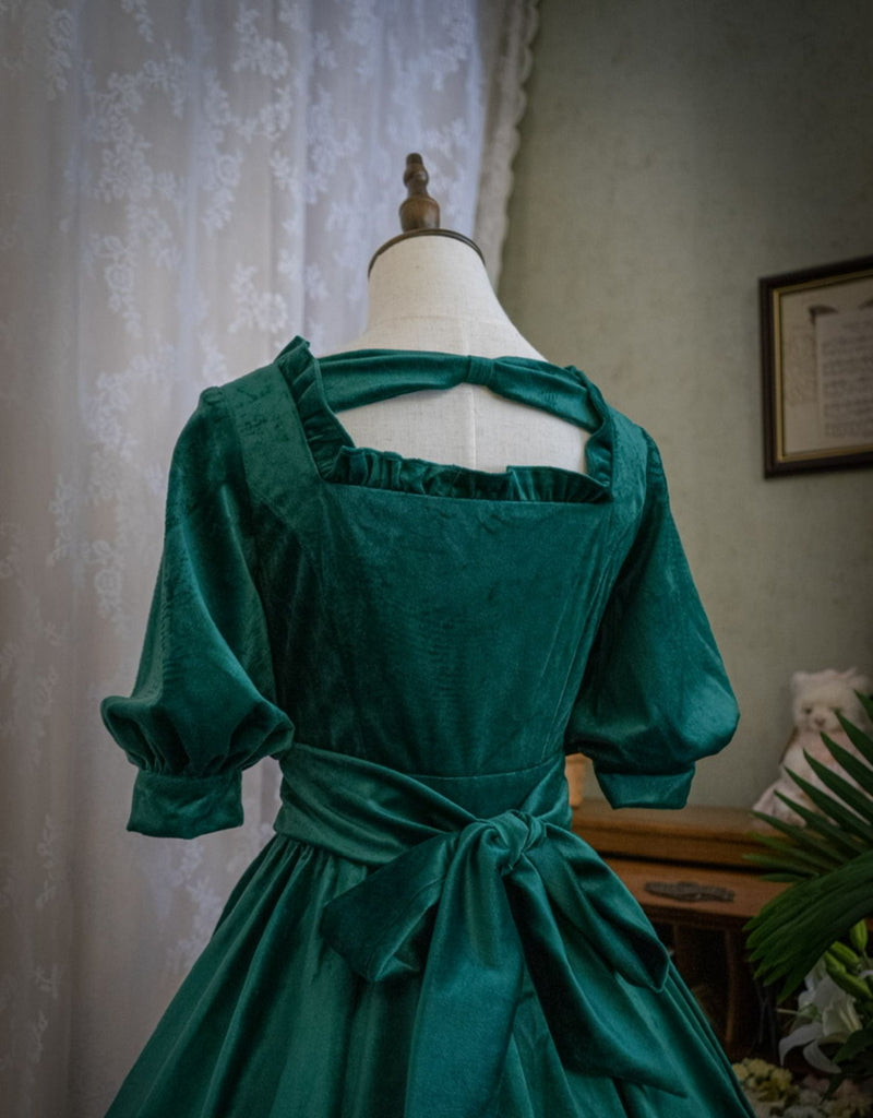 Velvet dress for royal and aristocratic ladies 